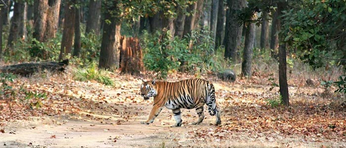 Jharkhand