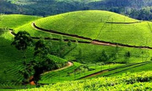 Karnataka