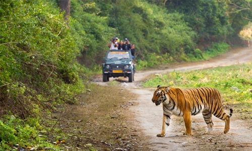 Jim Corbett Trip