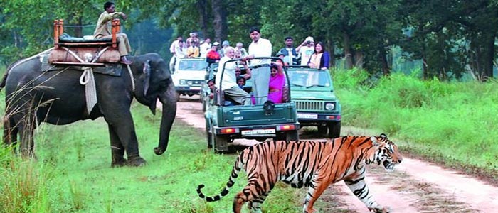 Jim Corbett Trip